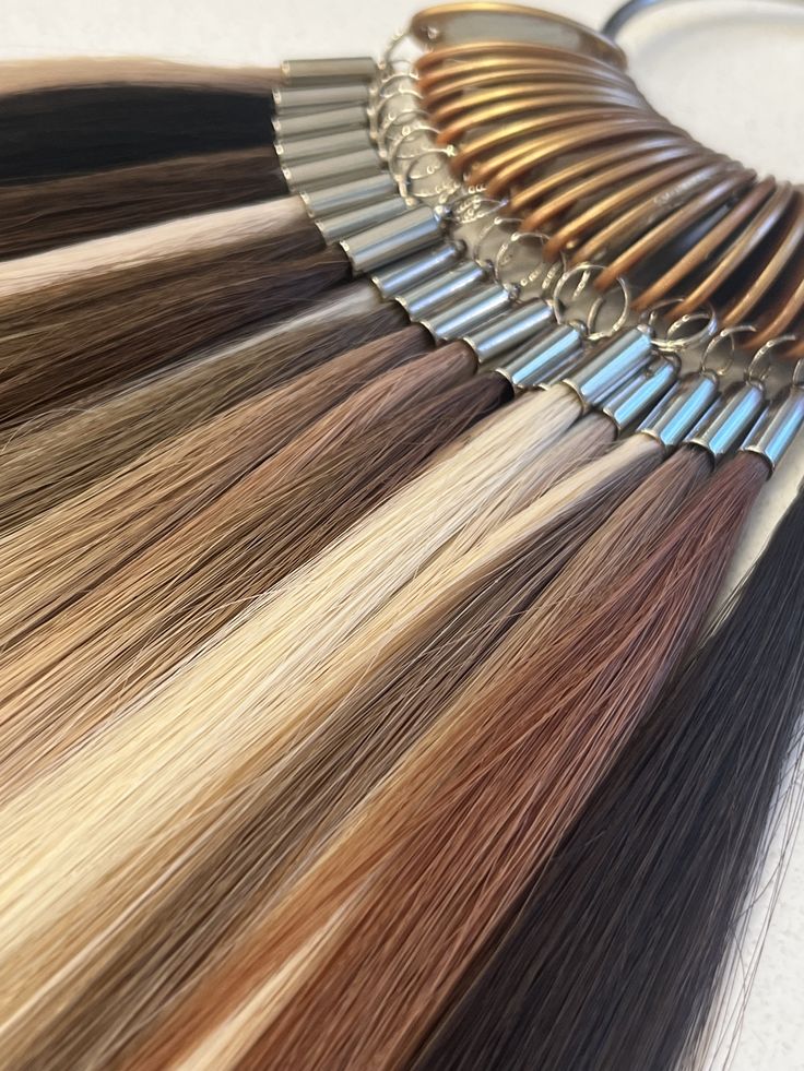 KOKIUS PLAUKUS RINKTIS? KODĖL SKIRIASI KAINOS