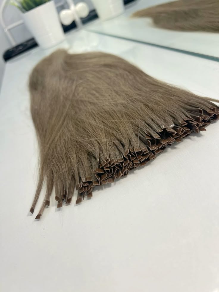 KOKIUS PLAUKUS RINKTIS? KODĖL SKIRIASI KAINOS